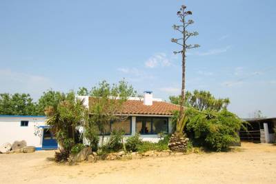 Boavista, a cozy rural retreat near Ericeira