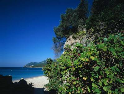 Arrabida Beach - Sesimbra